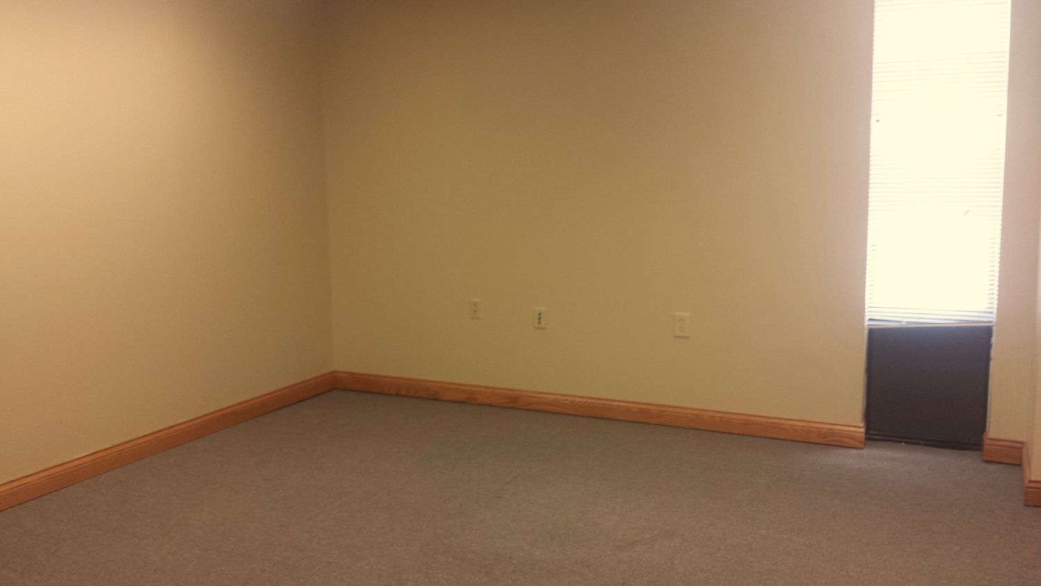 Suite 101